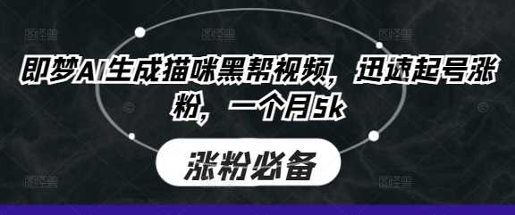 即梦AI生成猫咪黑帮视频，迅速起号涨粉，一个月5k-玩备项目资源网
