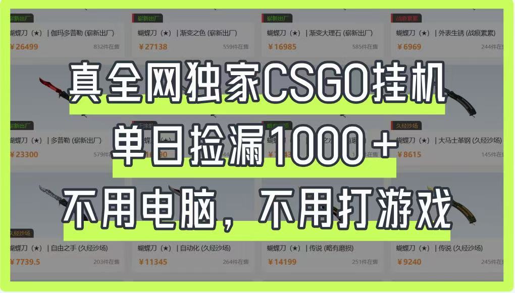 真全网独家CSGO挂机，单日捡漏1000+，不用电脑，不用养号-玩备项目资源网