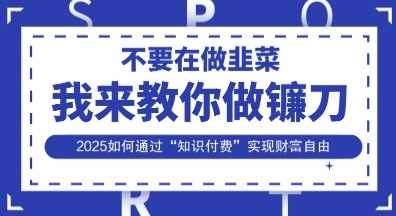 韭菜生涯终结者，我来教你做镰刀，2025如何通过“知识付费”实现财F自由【揭秘】-玩备项目资源网