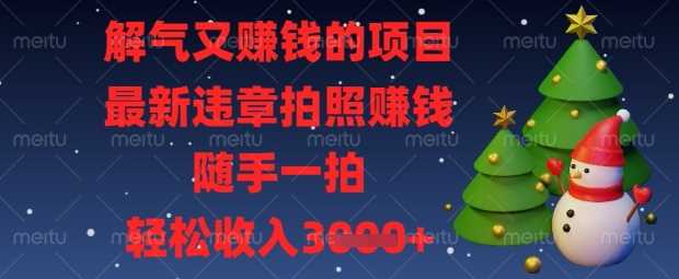 解气又挣钱的项目，最新违章拍照挣钱，随手一拍，轻松收入数张【揭秘】-玩备项目资源网