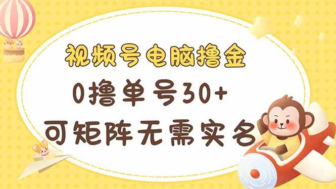 （14220期）视频号电脑撸金 0撸单号30+ 可矩阵 无需实名多号多得-玩备项目资源网