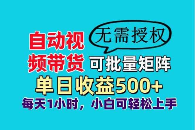 （14229期）自动视频带货，可批量矩阵，单日收益500+、轻松实现睡后收益，小白可…-玩备项目资源网