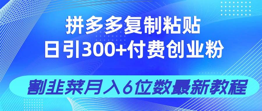（14232期）拼多多复制粘贴日引300+付费创业粉，割韭菜月入6位数最新教程！-玩备项目资源网