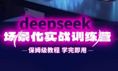 DeepSeek场景化实战训练营，保姆级教程，学完即用，手把手教你用DeepSeek提升效率-玩备项目资源网