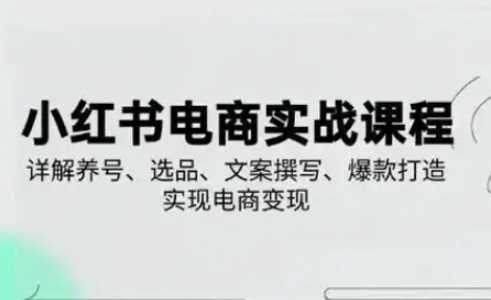 小红书从0-1实操课(2023-2025)，详解养号、选品、文案撰写、爆款打造实现电商变现-玩备项目资源网