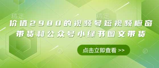 价值2980的视频号短视频橱窗带货和公众号小绿书图文带货-玩备项目资源网