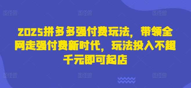 2025拼多多强付费玩法，带领全网走强付费新时代，玩法投入不超千元即可起店-玩备项目资源网