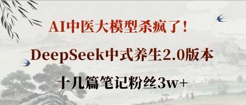 AI中医大模型杀疯了！DeepSeek中式养生2.0版本，十几篇笔记粉丝3w+-玩备项目资源网