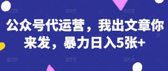 公众号代运营，我出文章你来发，暴力日入5张+【揭秘】-玩备项目资源网