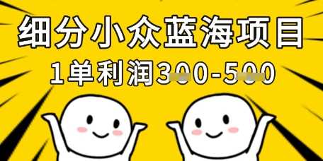 细分小众蓝海项目，一单利润3张，每月收入稳定过1w+-玩备项目资源网