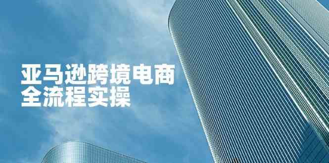 亚马逊跨境电商全流程实操，教你从零开始，掌握店铺运营与广告技巧-玩备项目资源网