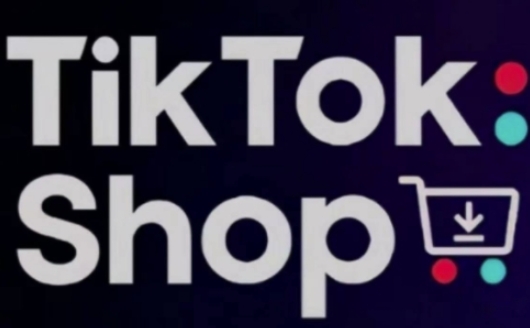 TikTokShop跨境电商0-1实战，手把手教你低成本启动海外市场-玩备项目资源网