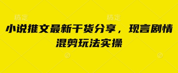 小说推文最新干货分享，现言剧情混剪玩法实操-玩备项目资源网