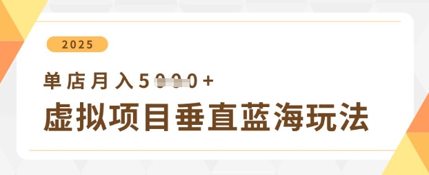 虚拟项目垂直玩法，实现单店月入5k+-玩备项目资源网