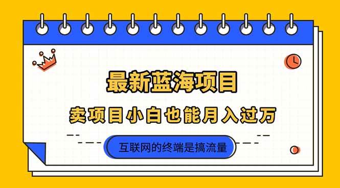 （14289期）2025年最新蓝海项目，卖项目小白也能月入过万-玩备项目资源网