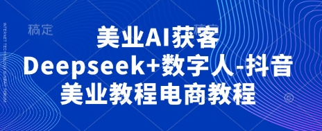 美业AI获客Deepseek+数字人-抖音美业教程电商教程-玩备项目资源网