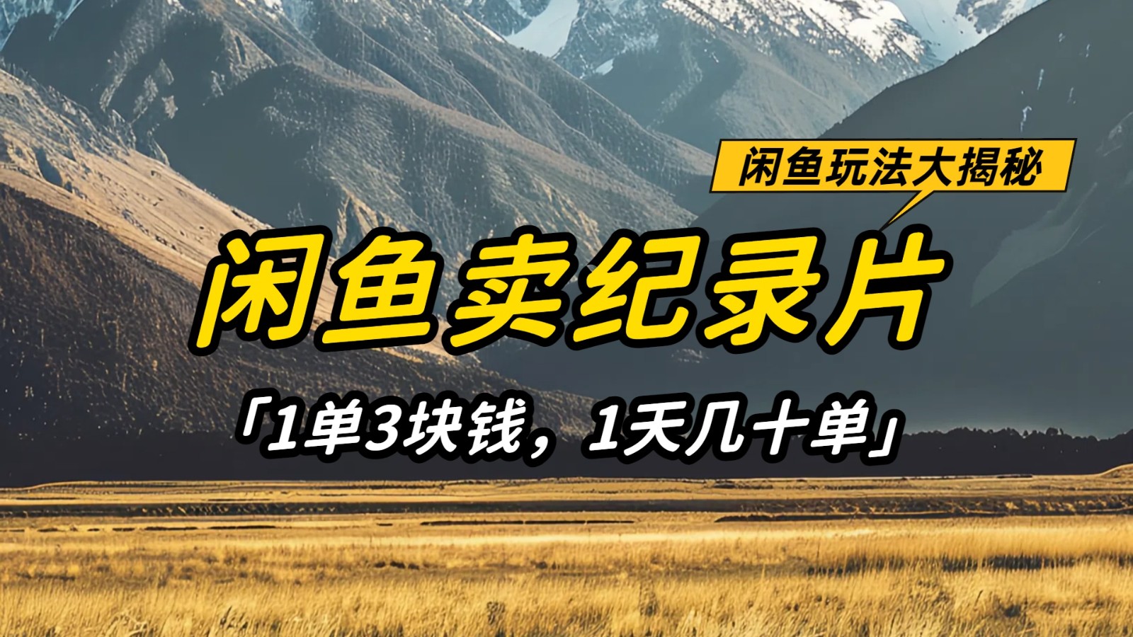 闲鱼卖纪录片，简单又赚钱的小项目，1单3块钱  1天几十单-玩备项目资源网