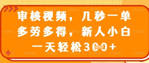 最新审核视频，几秒一单，多劳多得，新人小白一天轻松3张【揭秘】-玩备项目资源网