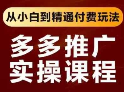 拼多多推广实操课程，从小白到精通付费玩法-玩备项目资源网