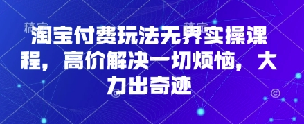 淘宝付费玩法无界实操课程，高价解决一切烦恼，大力出奇迹-玩备项目资源网