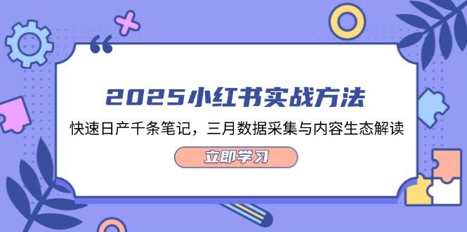 （14347期）2025小红书实战方法，快速日产千条笔记，三月数据采集与内容生态解读-玩备项目资源网