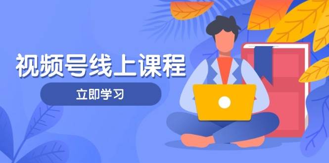 视频号实战课程，轻IP打造与运营技巧，掌握核心方法与策略-玩备项目资源网