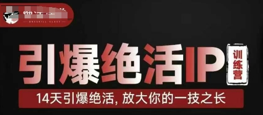 引爆绝活IP训练营，14天引爆绝活，放大你的一技之长-玩备项目资源网