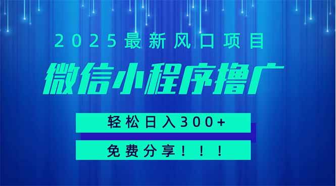 （14375期）微信小程序撸广，最新风口项目，日入300+ 免费分享 可批量操作 小白可…-玩备项目资源网