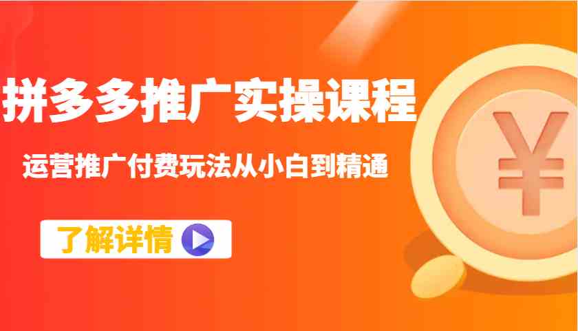 拼多多推广实操课程：运营推广付费玩法从小白到精通-玩备项目资源网