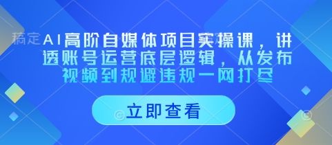 AI高阶自媒体项目实操课，讲透账号运营底层逻辑，从发布视频到规避违规一网打尽-玩备项目资源网