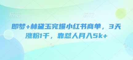 即梦+林黛玉完爆小红书商单，3天涨粉1千，靠怼人月入5k+-玩备项目资源网