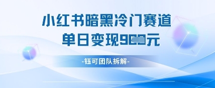 小红书冷门”暗黑”赛道，单日收益多张-玩备项目资源网