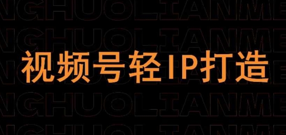 视频号线上课程，视频号轻IP打造-玩备项目资源网