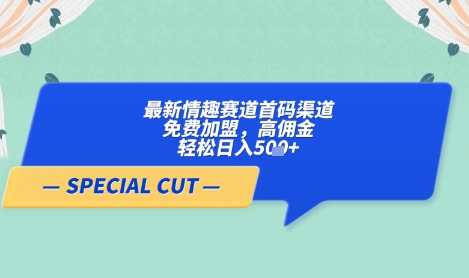 【轻云】最新情趣赛道首码渠道，免费加盟，高佣金，轻松日入5张+-玩备项目资源网