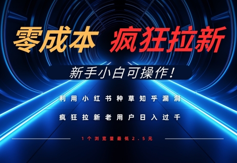 利用小红书种草知乎漏洞，零成本疯狂拉新日入数张，新手小白可操作-玩备项目资源网