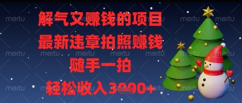 解气又挣钱的项目，最新违章拍照挣钱，随手一拍，轻松收入多张【揭秘】-玩备项目资源网