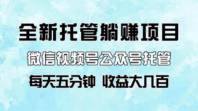 （14425期）全新托管躺赚项目，微信视频号公众号托管代运营，每天五分钟，收益大几百-玩备项目资源网