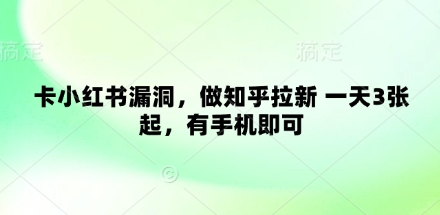 卡小红书漏洞，做知乎拉新 一天3张起，有手机即可-玩备项目资源网