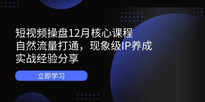 （14447期）短视频操盘12月核心课程：自然流量打通，现象级IP养成，实战经验分享-玩备项目资源网
