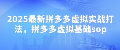 2025最新拼多多虚拟实战打法，拼多多虚拟基础sop-玩备项目资源网