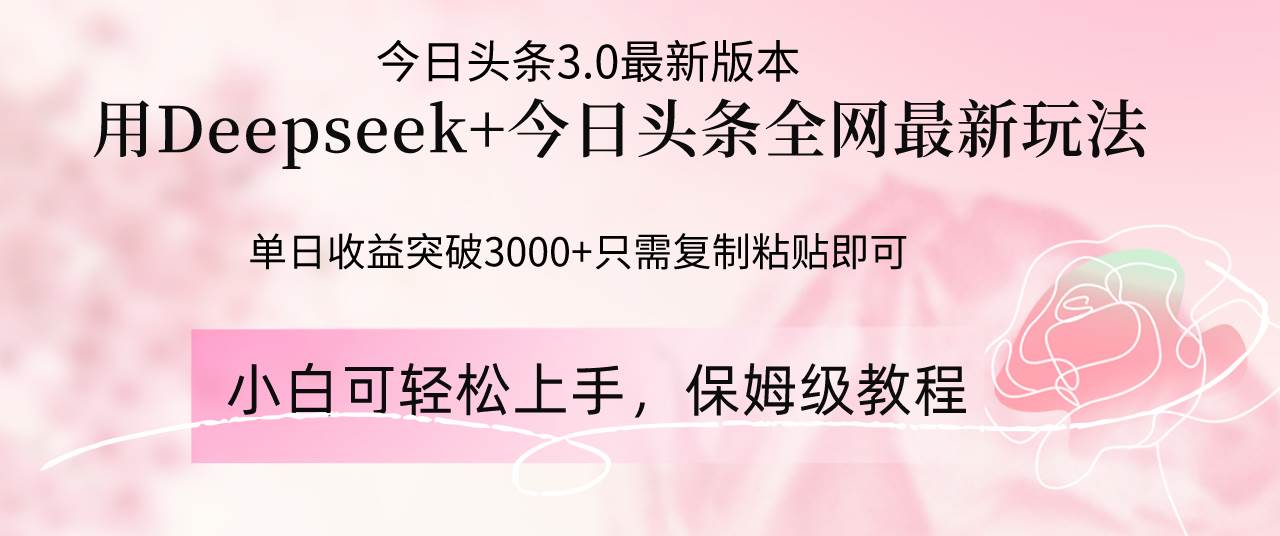 （14452期）Deepseek结合今日头条全网最新玩法，单日收益突破3000+，只需要简单的…-玩备项目资源网