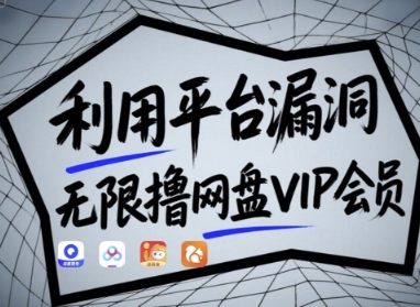 利用平台漏洞，无限撸网盘VIP会员，用户亲测有效!【漏洞原理+操作演示】-玩备项目资源网