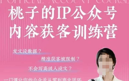 桃子IP公众号内容获客训练营(第3期)，一门让你公众号从0到商业闭环的课程-玩备项目资源网