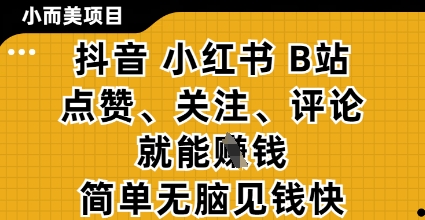 小而美的项目，抖音小红书B站视频点赞、关注、评论就能挣钱，简单无脑立见收益，妥妥的零撸项目【揭秘】-玩备项目资源网