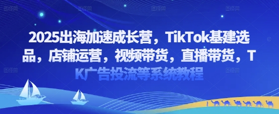 2025出海加速成长营，TikTok基建选品，店铺运营，视频带货，直播带货，TK广告投流等系统教程-玩备项目资源网