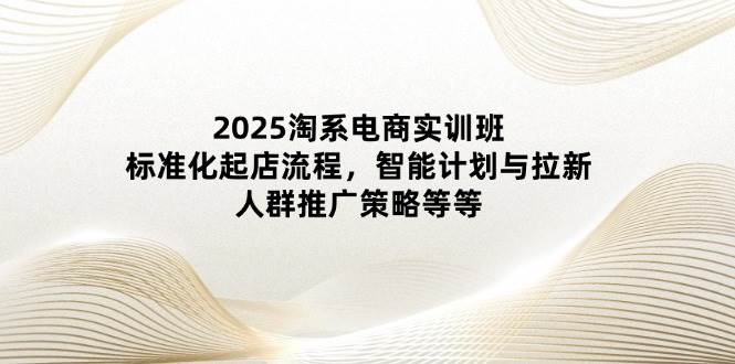（14522期）2025淘系电商实训班：标准化起店流程，智能计划与拉新，人群推广策略等等-玩备项目资源网