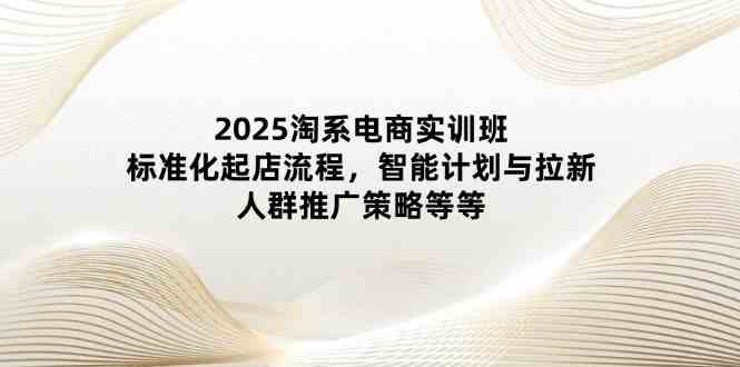 2025淘系电商实训班：标准化起店流程，智能计划与拉新，人群推广策略等等-玩备项目资源网