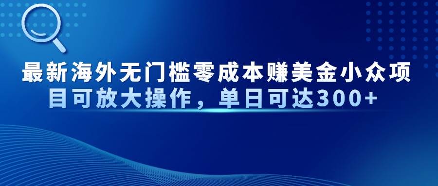 （14542期）最新海外无门槛零成本赚美金小众项目可放大操作，单日可达300+-玩备项目资源网