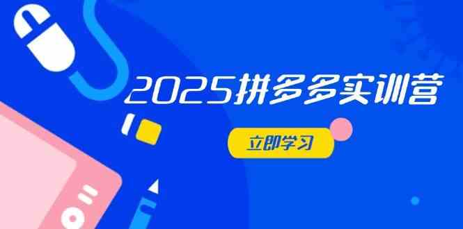 2025拼多多实训营：深度剖析运营关键，助力电商人快速提升-玩备项目资源网