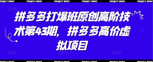 拼多多打爆班原创高阶技术第43期，拼多多高价虚拟项目-玩备项目资源网